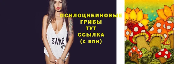 ГАЛЛЮЦИНОГЕННЫЕ ГРИБЫ Баксан